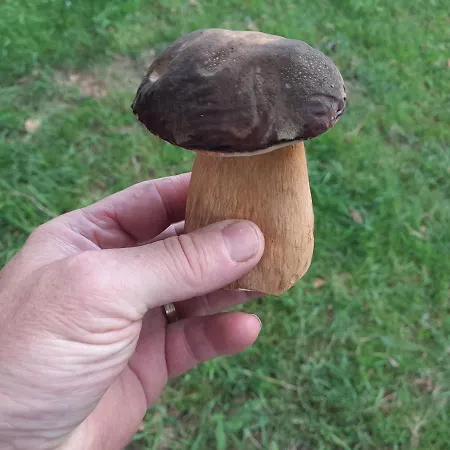 La Marchadaine 3* Montrollet