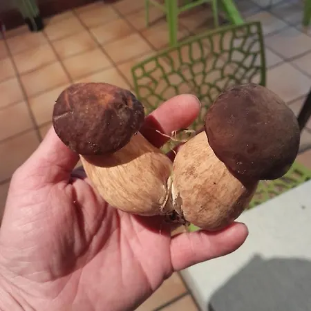 La Marchadaine Bed & Breakfast 3*