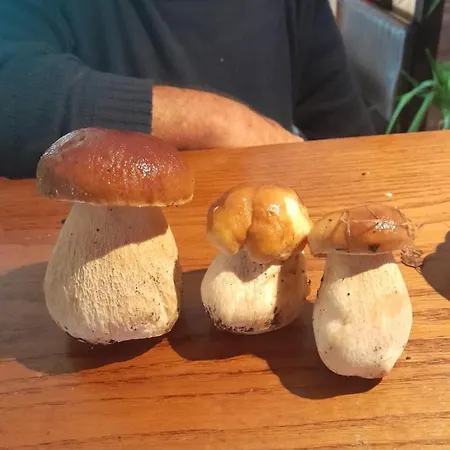 Frühstückspension La Marchadaine