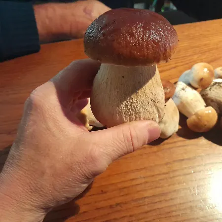 La Marchadaine 3* Montrollet